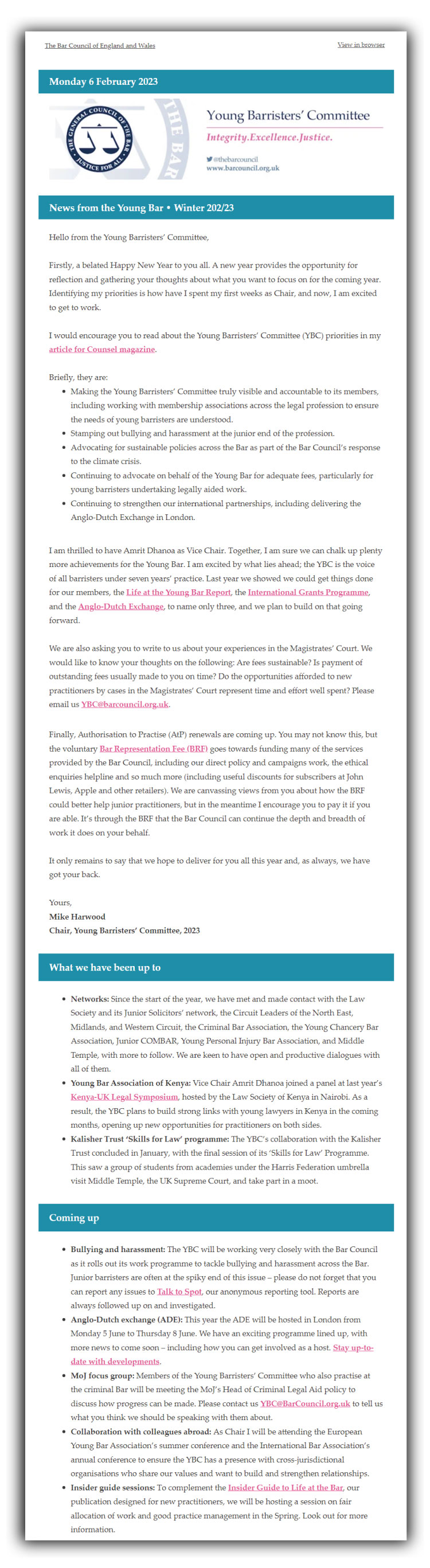 Screenshot of the Young Bar newsletter